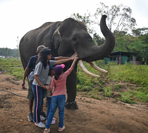 Coorg 